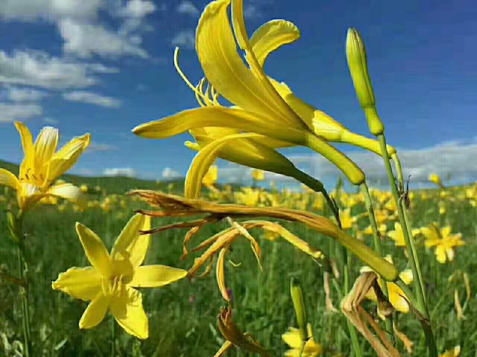 小鸟叫声清脆 100i16000000zxirx7B88_R_671_10000_Q90.jpg?proc=autoorient