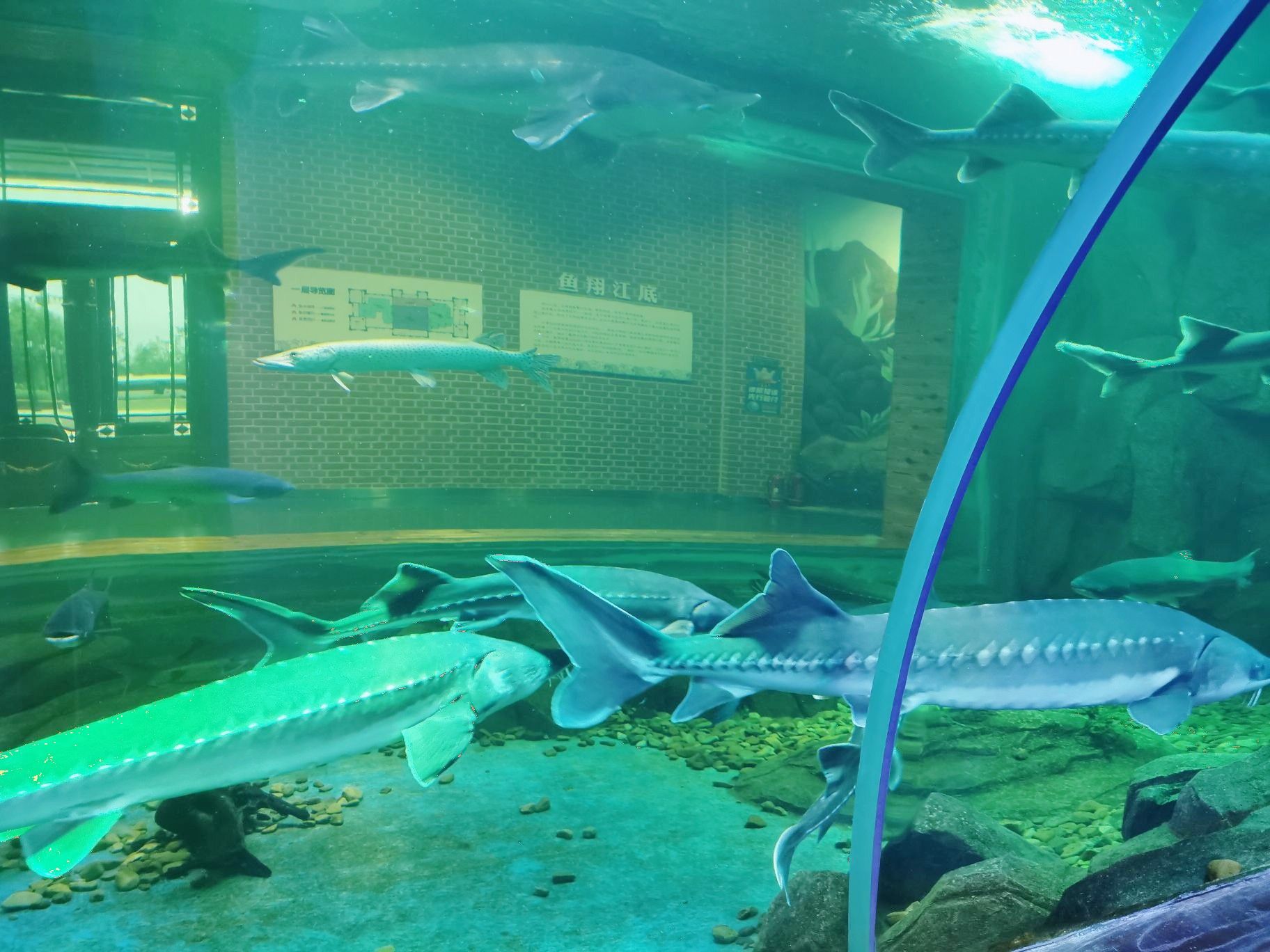 抚远鱼文化体验馆