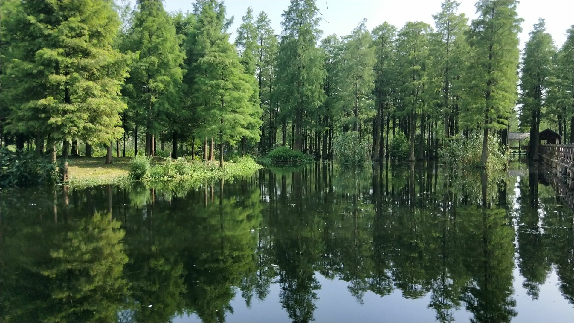 2023青岚湖湿地公园游玩攻略,...化的绿色生态环境，又点缀...【去哪儿攻略】
