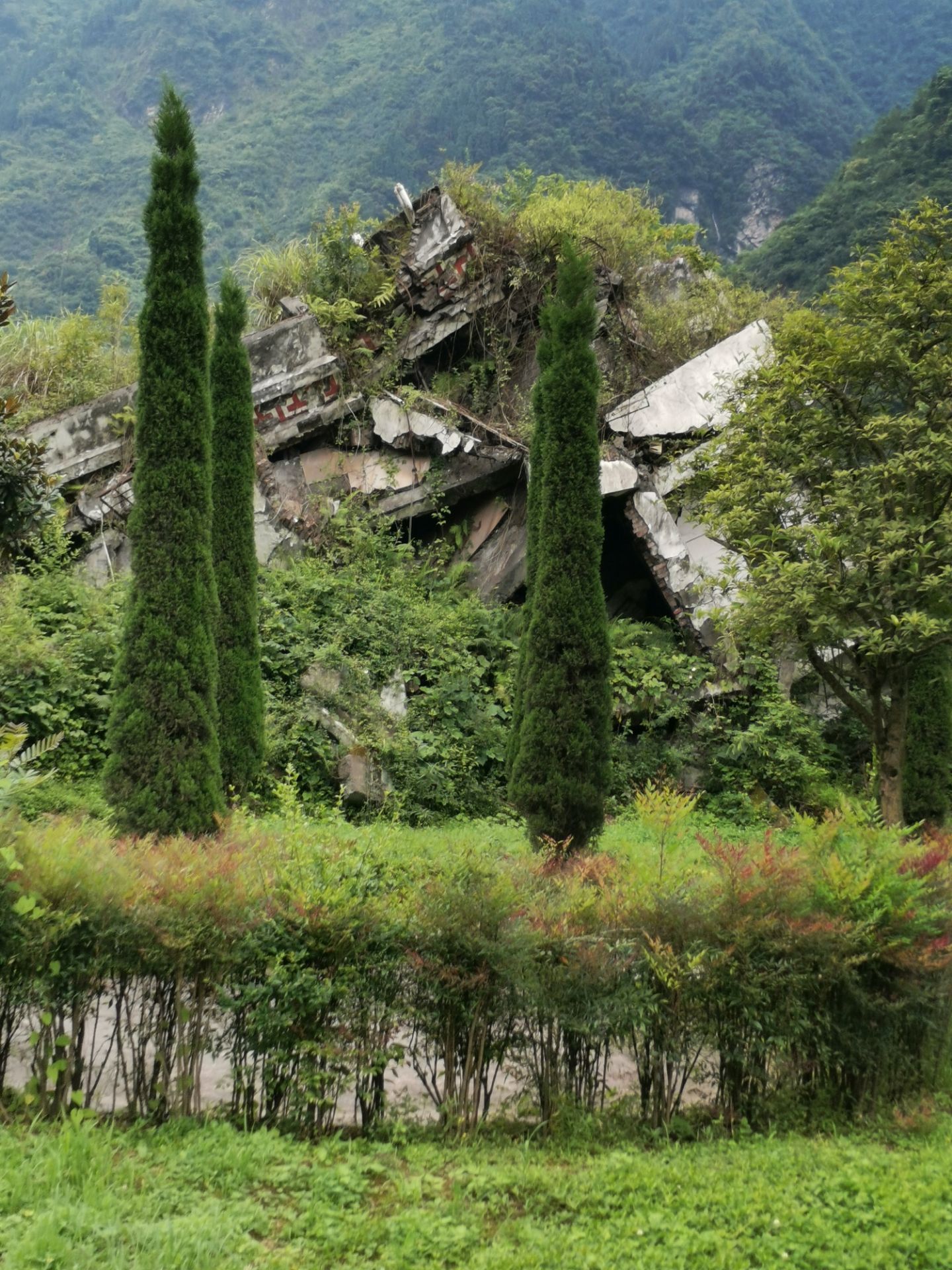 特别是在漩口中学和映秀小学遗址,映秀小学遗址已经只剩一根旗杆了.