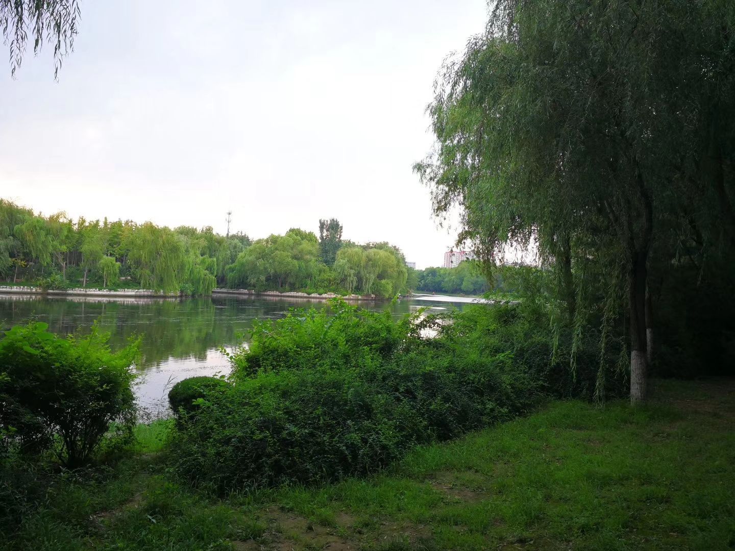 新野白河溼地公園好玩嗎,新野白河溼地公園景點怎麼樣_點評_評價