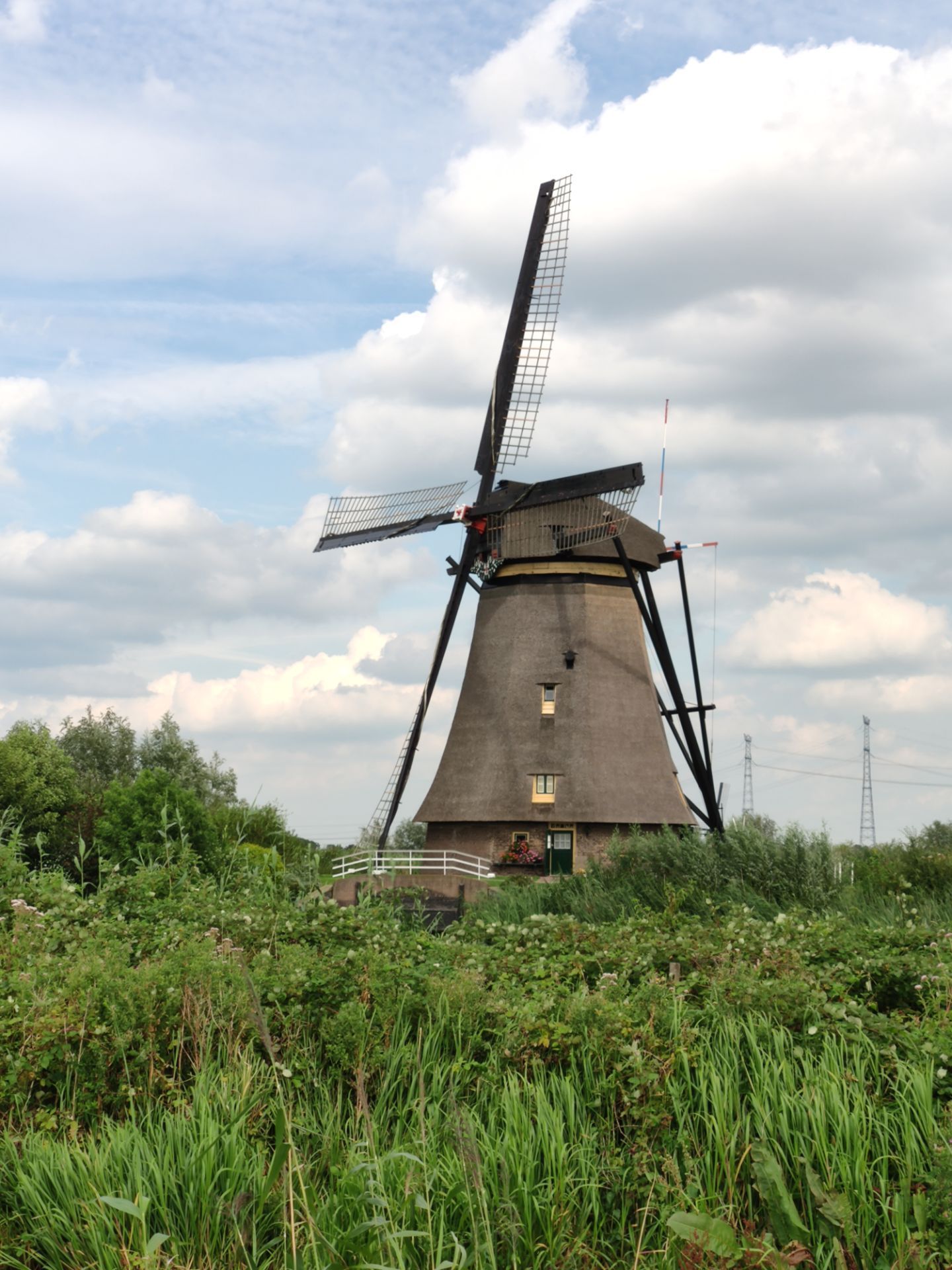 为什么荷兰被称为“风车之国”? - 汤姆猫荒野派对资讯-小米游戏中心