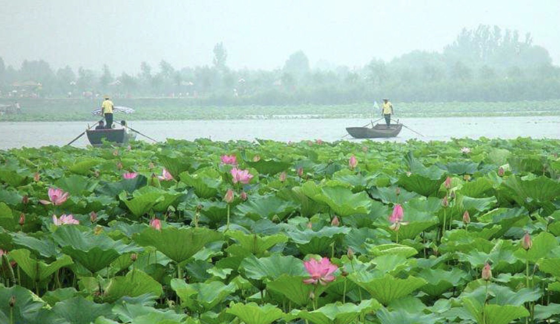 《白洋淀纪事》中《光荣》读后感 ——没有格局，难有善果