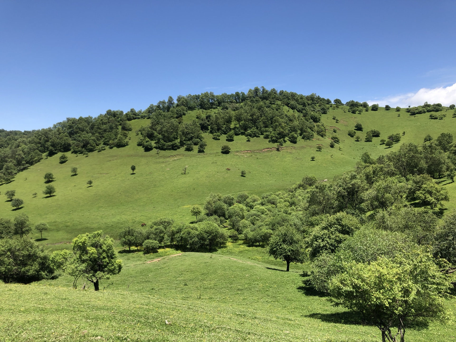 【攜程攻略】隴縣關山草原景點,寶雞的關山草原 是陝西人的好去處 帶