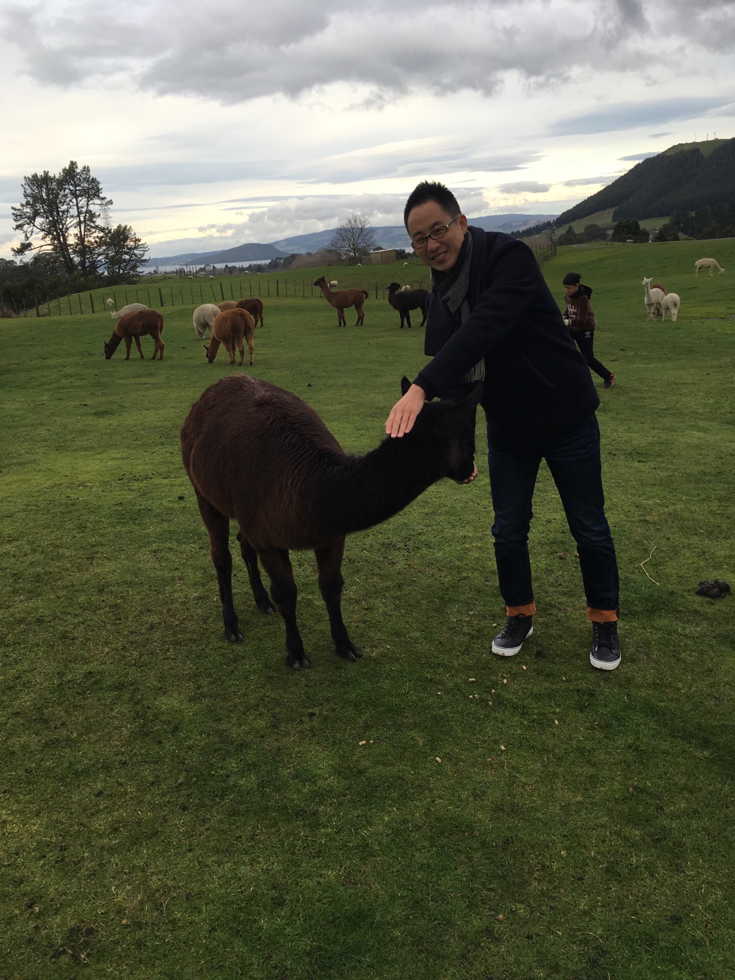 21爱歌顿农场玩乐攻略 爱歌顿农场 占地面积135公顷 去哪儿攻略