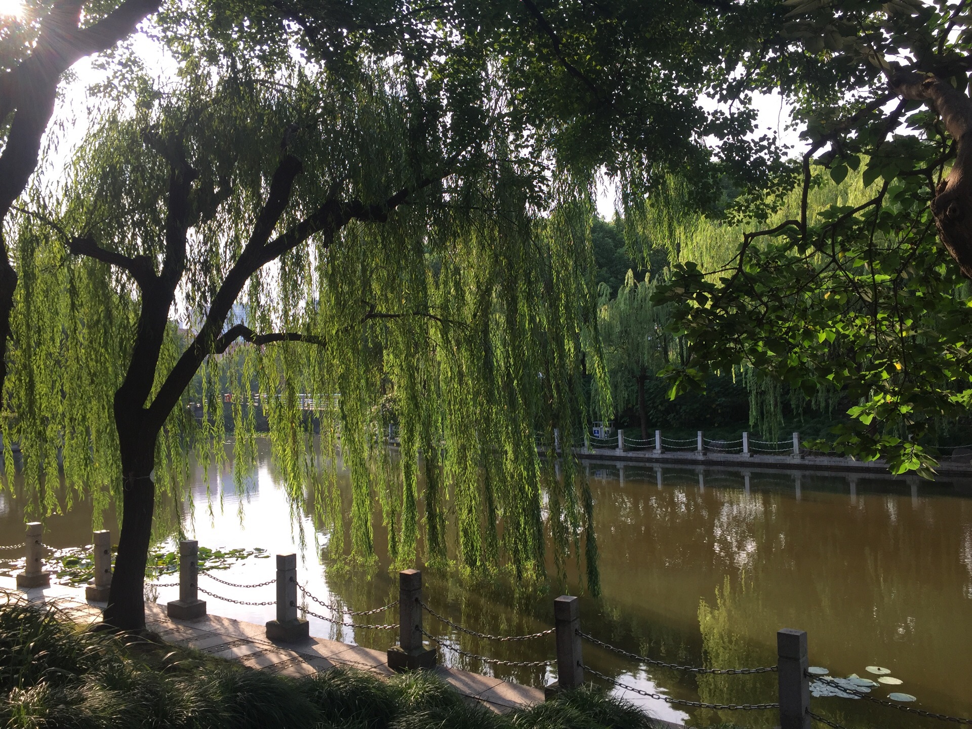 塘橋公園