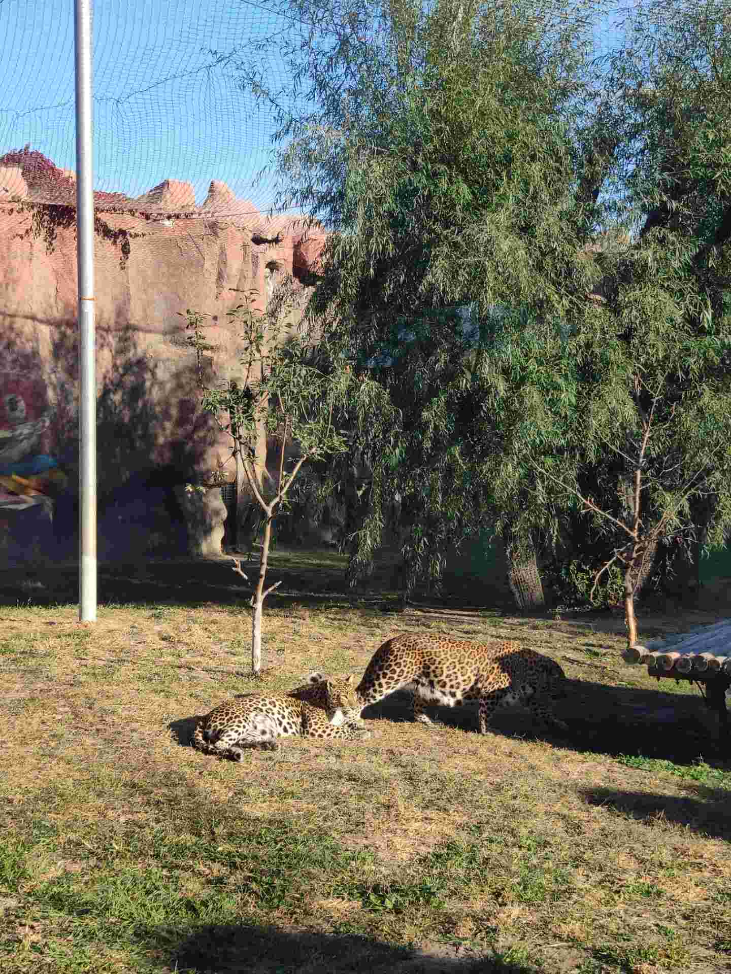 齊齊哈爾龍沙動植物園好玩嗎,齊齊哈爾龍沙動植物園景點怎麼樣_點評