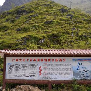 2020七百弄国家地质公园-旅游攻略-门票-地址-问答-游记点评,河池旅游