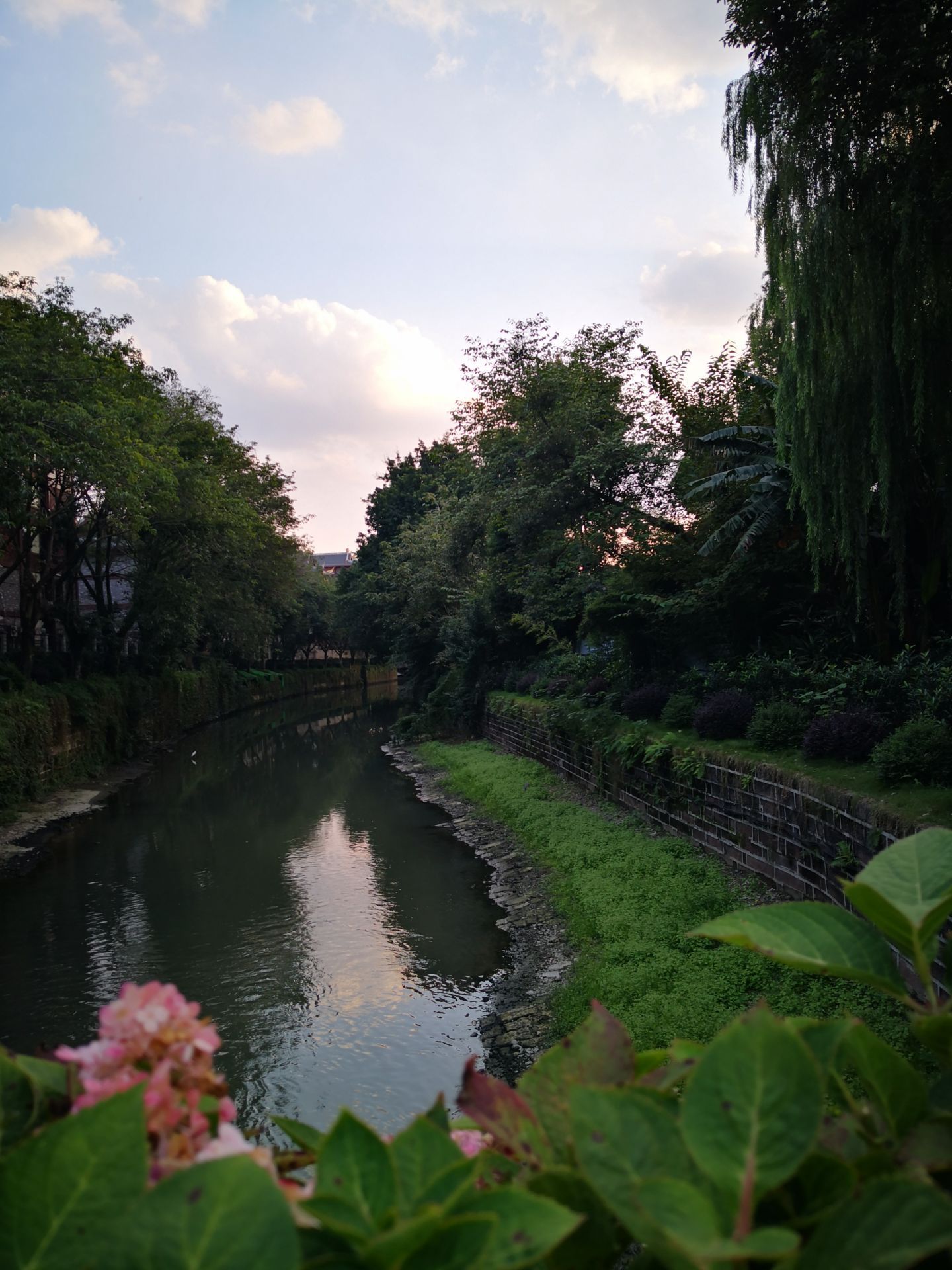 成都市文化公園旅遊景點攻略圖