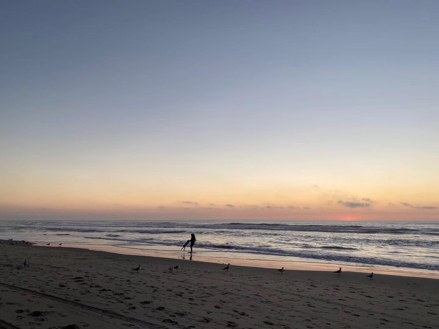 目的地 拉霍亞海灘 人生第一次見到海是青島的海,那是讀初中時期的某