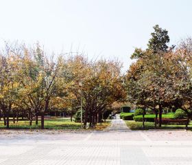 櫻花廣場