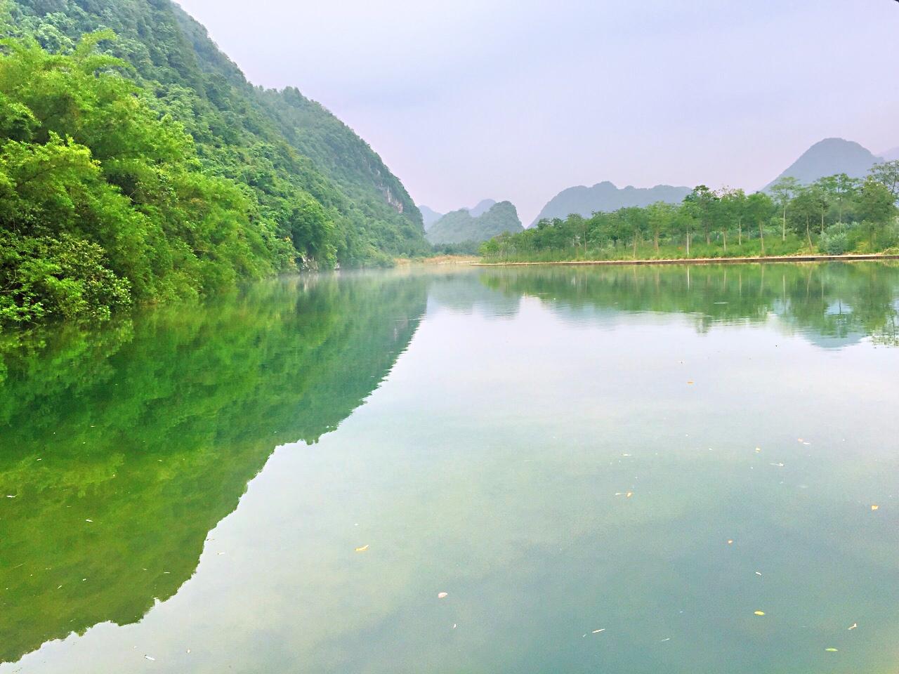 英德市英紅鎮老表蘭業種植場