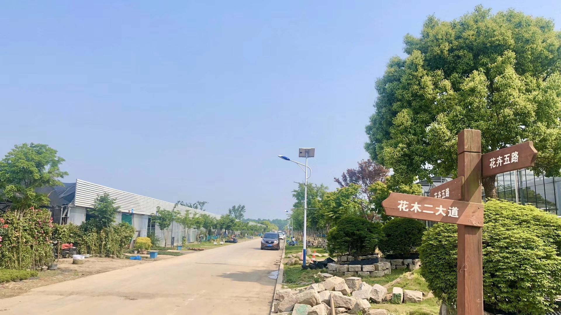 上海华新花卉苗木基地