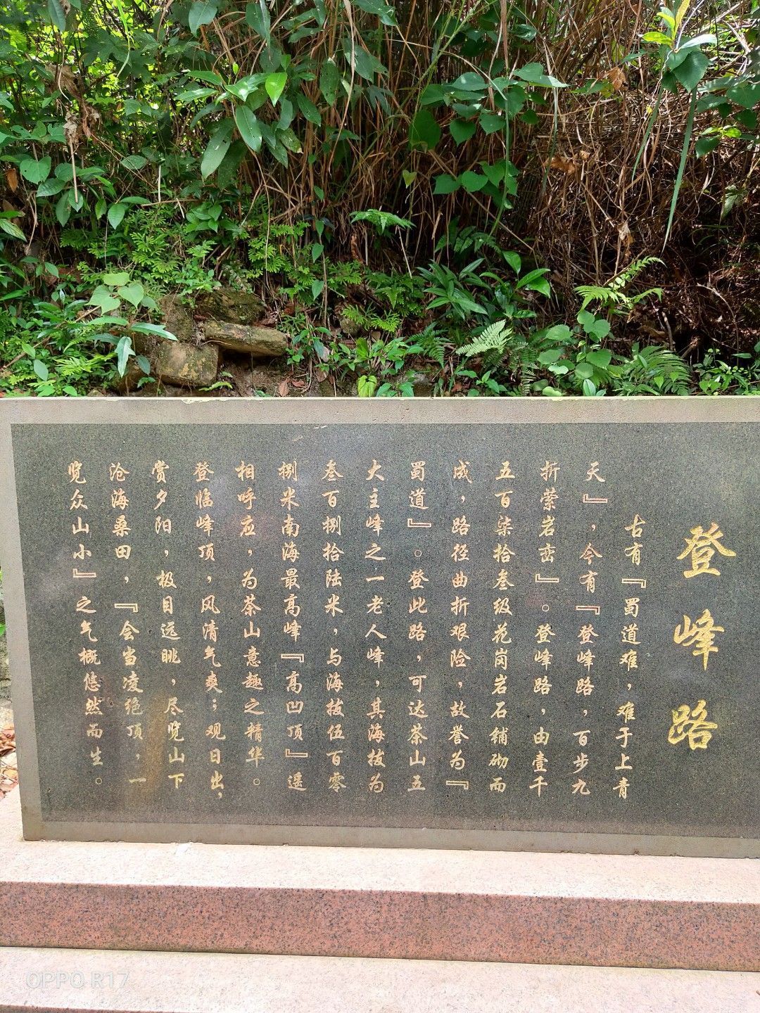 完全没有娱乐项目