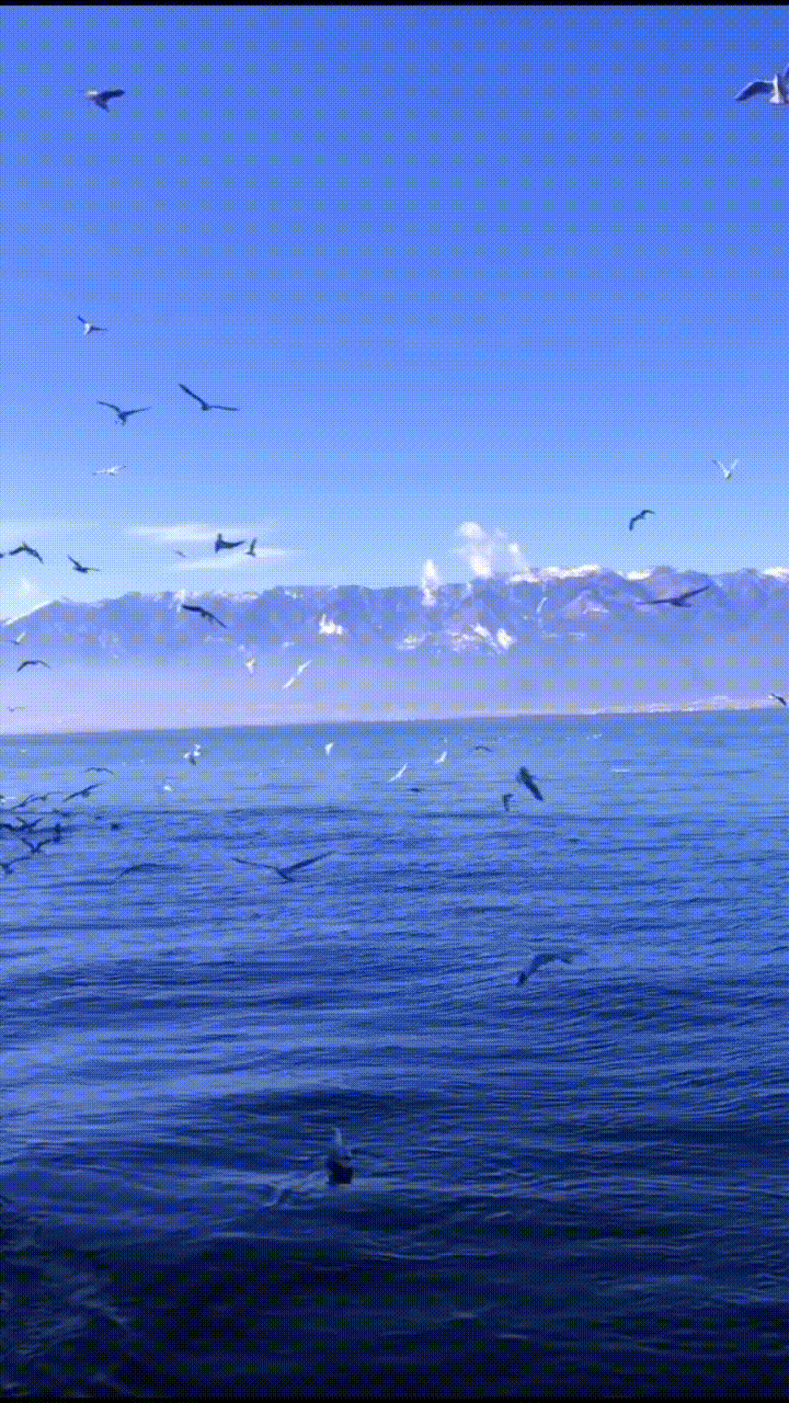 你认为中国最美的风景在哪里呢?(动图) – 大理游记攻略插图11 你认为中国最美的风景在哪里呢?(动图) – 大理游记攻略插图11