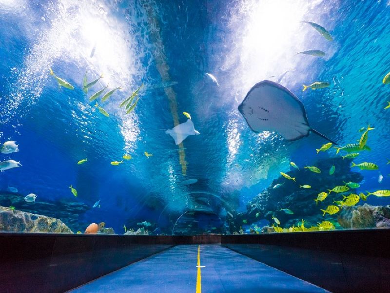 天津海昌极地海洋公园