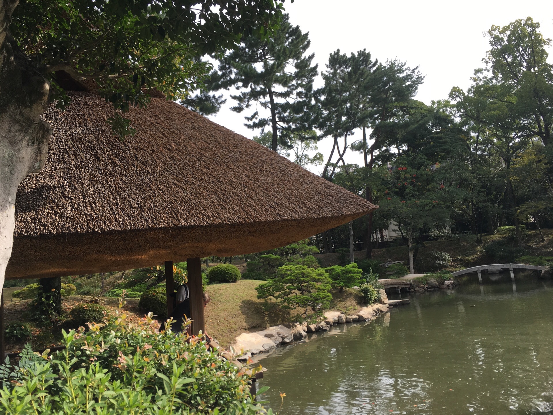 【携程攻略】广岛缩景园景点,非常精致,安静的一个景点,类似一个小