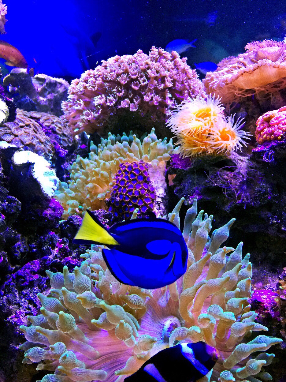 郑州海洋馆