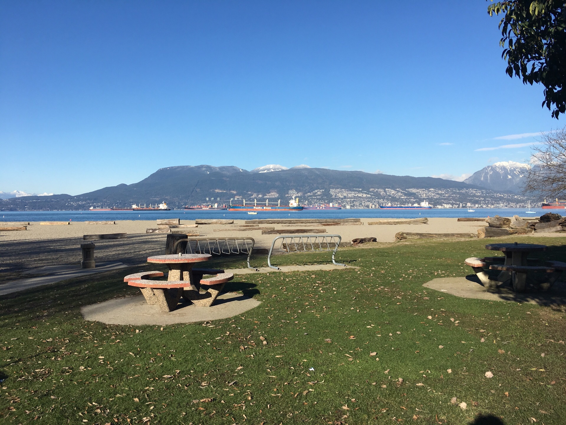 2023Jericho Beach Concession美食餐厅,Jericho Beach Cafe的招牌很...【去哪儿攻略】