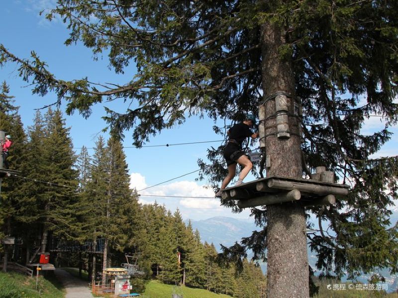 皮拉图斯山森林绳索攀爬乐园
