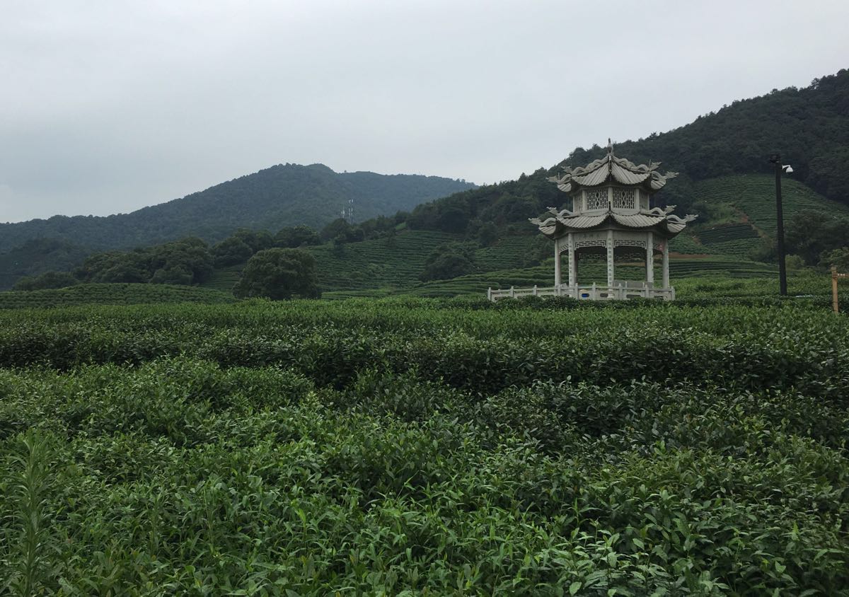 外桐坞村艺术小镇