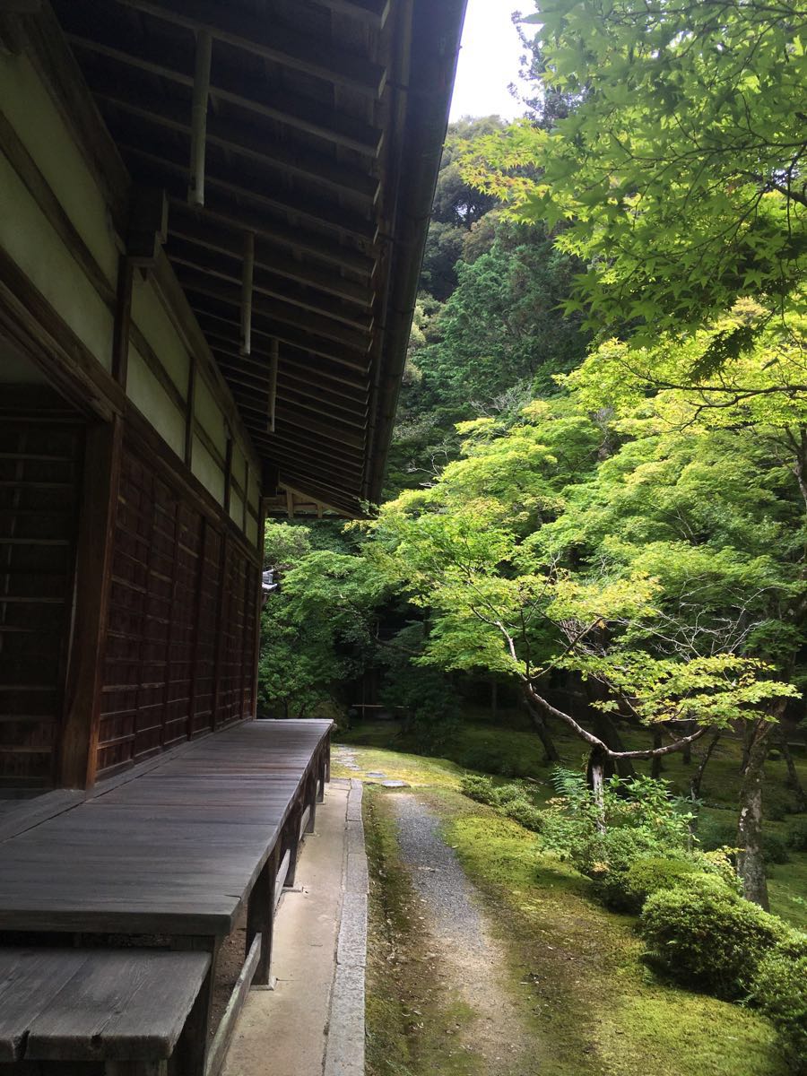 2023西芳寺游玩攻略,观赏前要先诵经,写祈愿牌,.【去哪儿攻略】