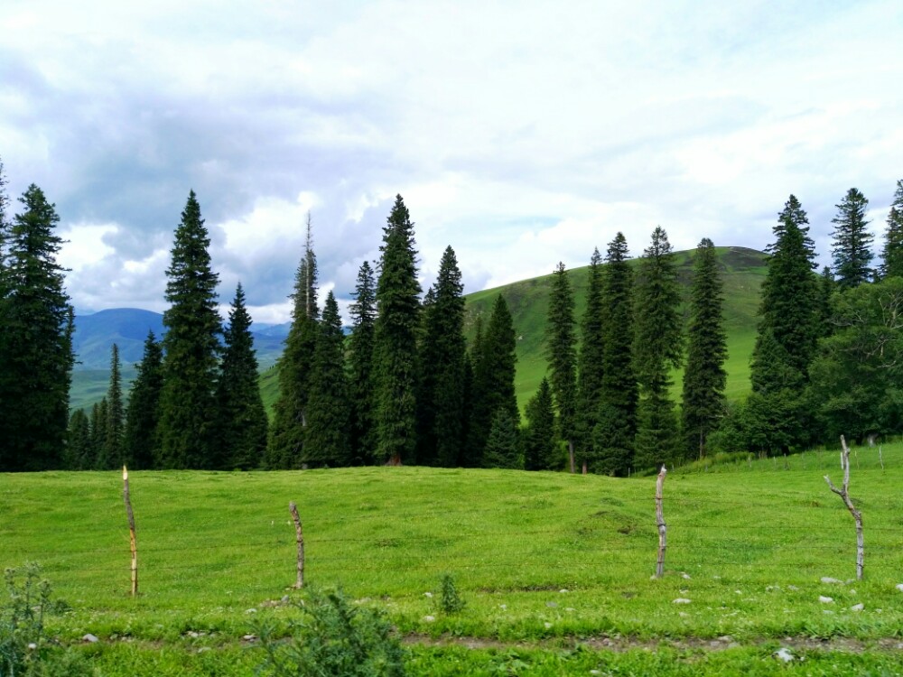 【携程攻略】新源那拉提旅游风景区景点,满眼绿色,身心沉醉在大草原中