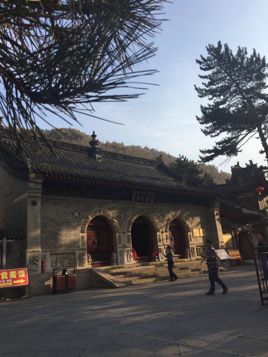 天道普化禅寺图片