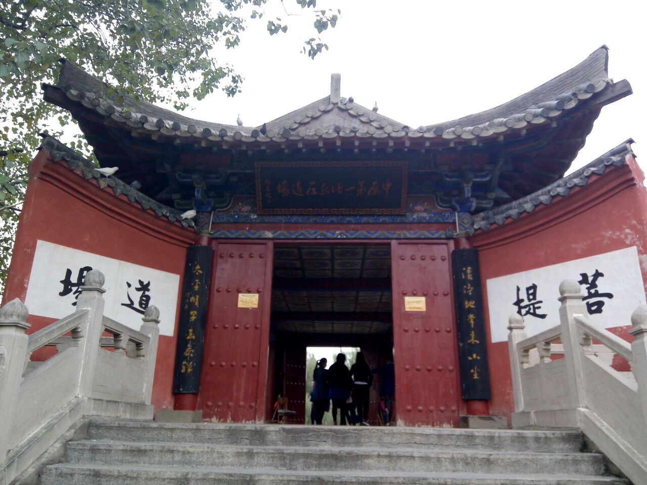 大理寂照庵：中国最美寺庙和“最文艺的尼姑庵” - 知乎