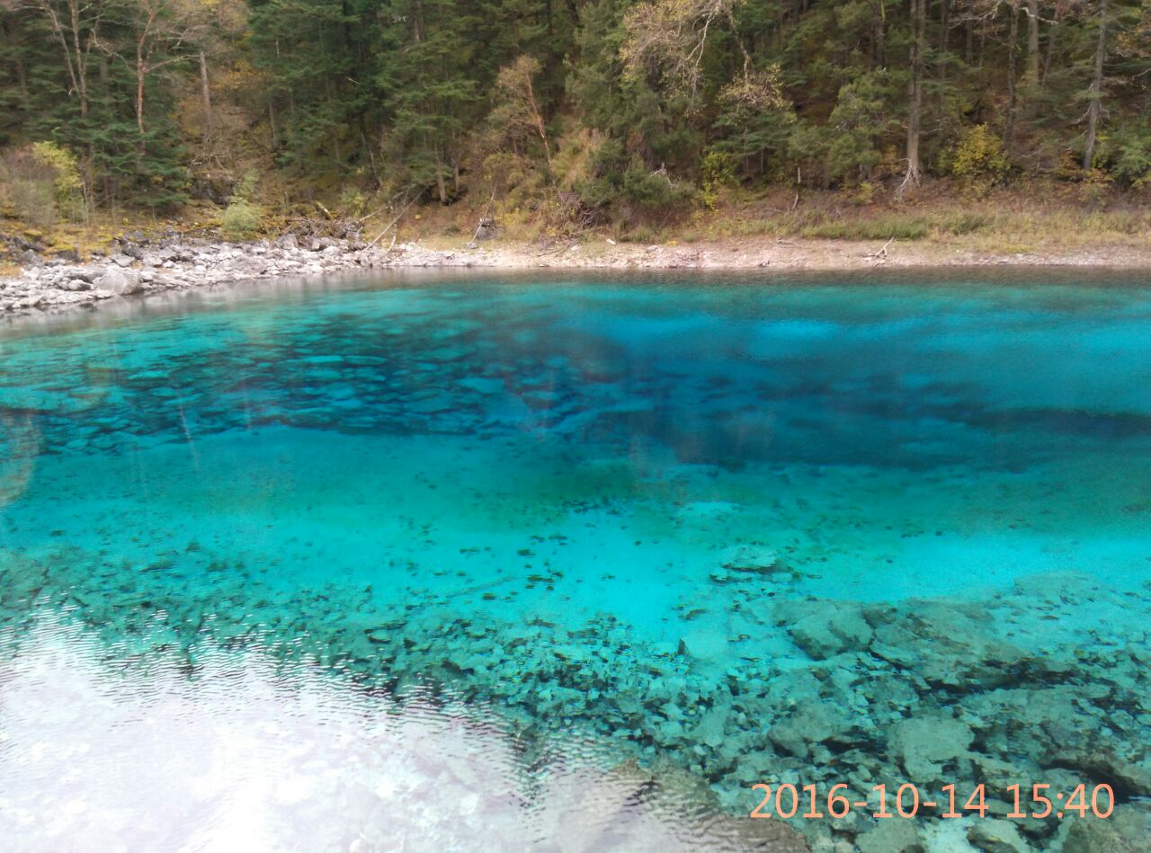 2019五彩池_旅遊攻略_門票_地址_遊記點評,九寨溝旅遊景點推薦 - 去