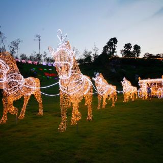 秀丽东方灯幻世界   分 1条点评 展馆展览 娱乐点 展馆展览 距景点281