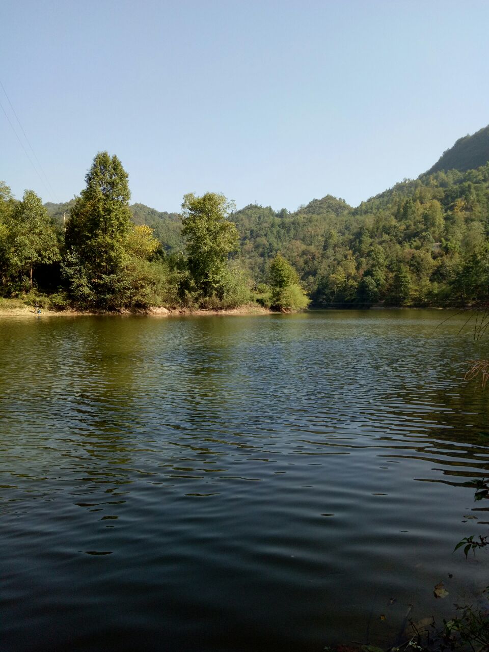 長順杜鵑湖風景區