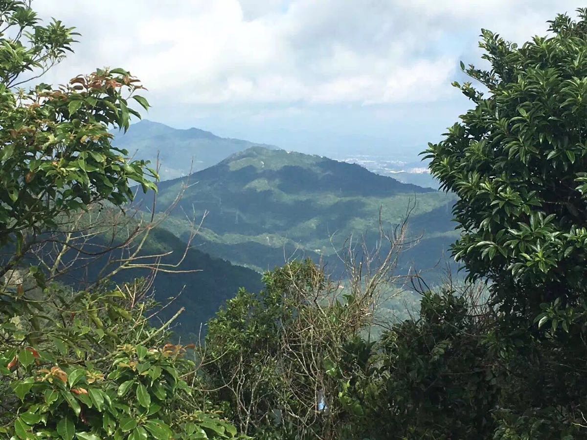 九龙峰