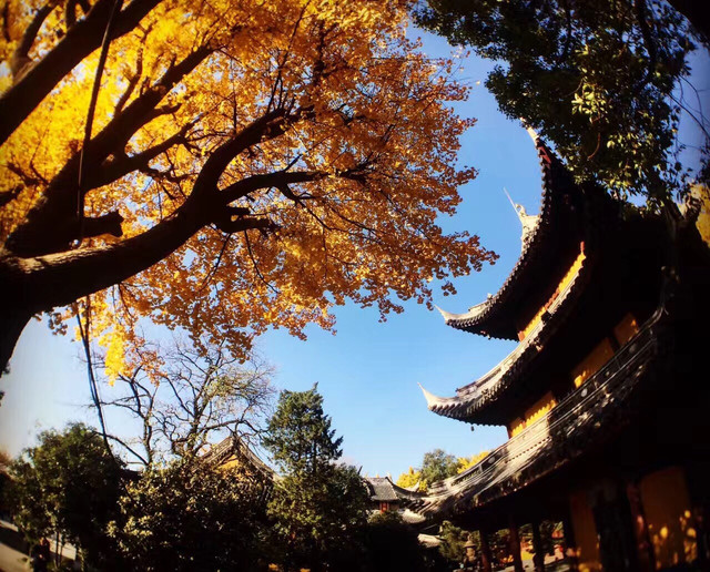 上海龍華寺