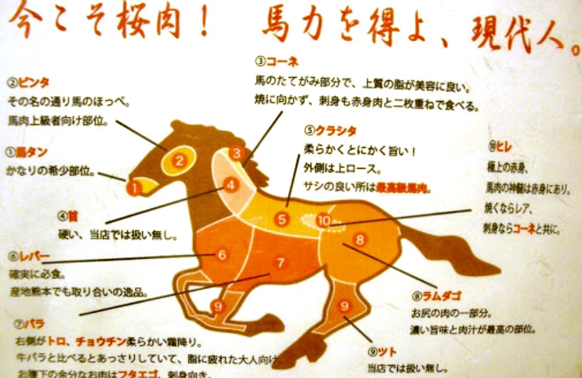 日本美食中心之一大阪市内的一家以马肉料理为特色的著名日式料理店