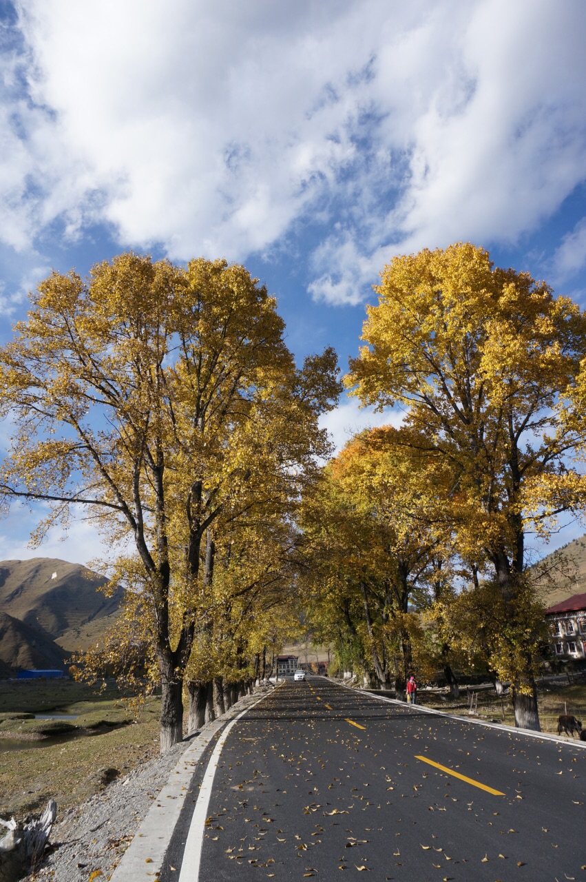 【携程攻略】康定新都桥好玩吗,康定新都桥景点怎么样_点评_评价