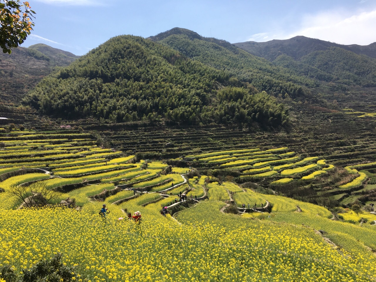 【攜程攻略】上虞區覆卮山景區景點,清明節放假去的,梯田很美,滿是