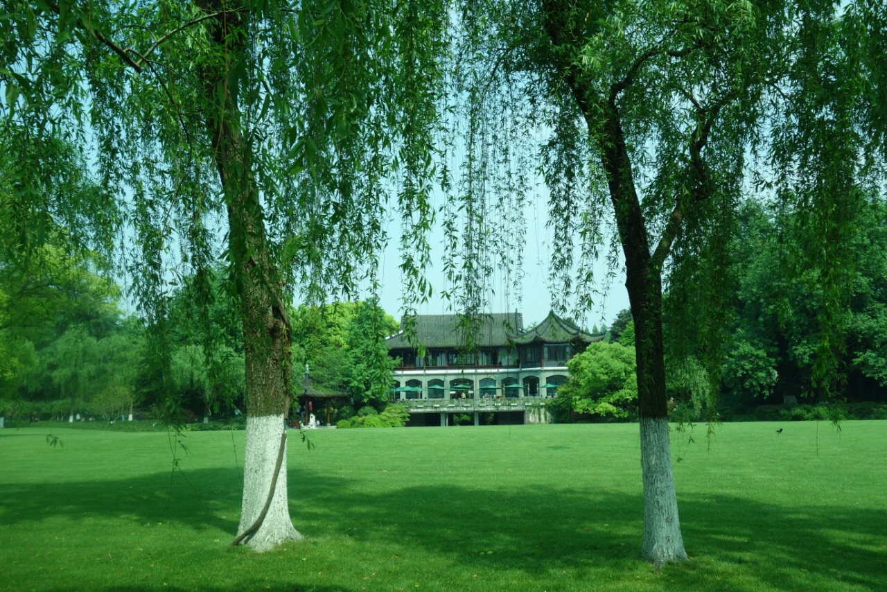 柳浪闻莺旅游景点攻略图