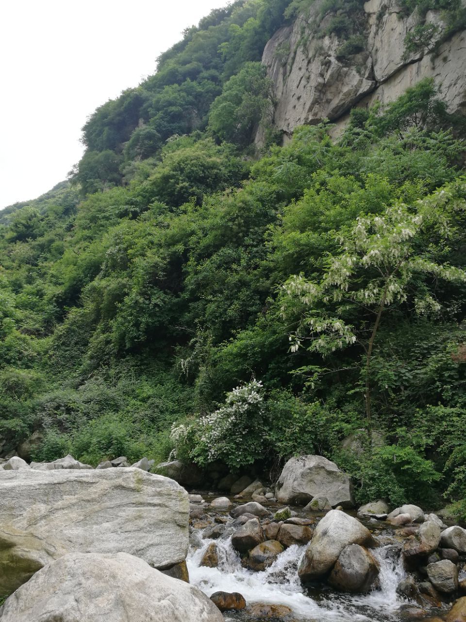 大峪水库图片