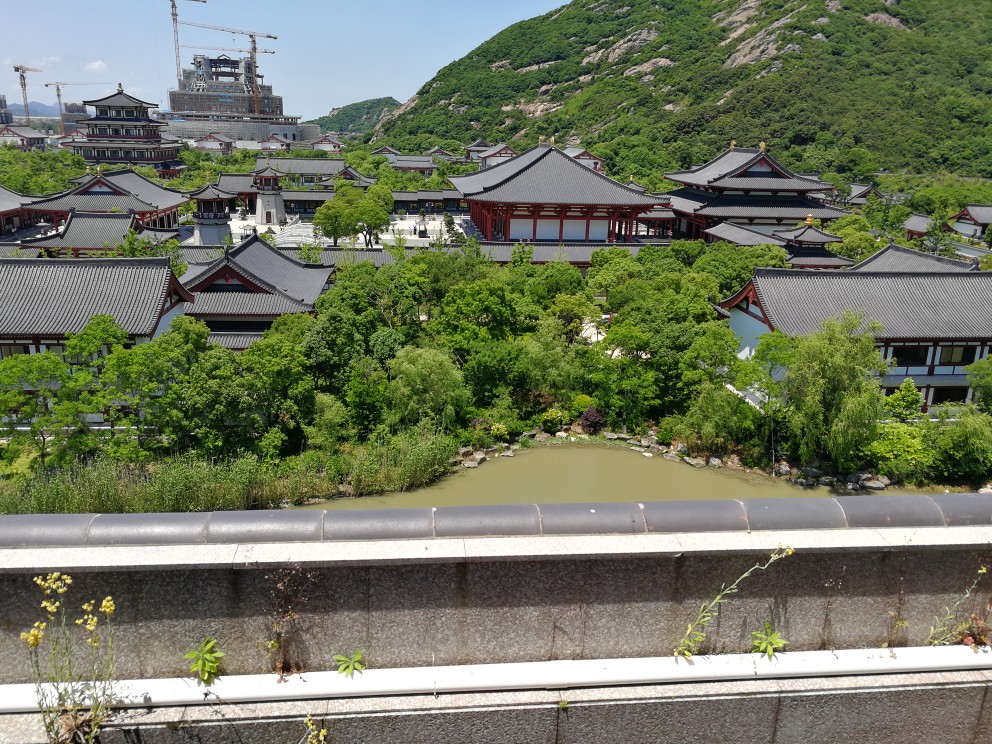 中國佛學院普陀山學院