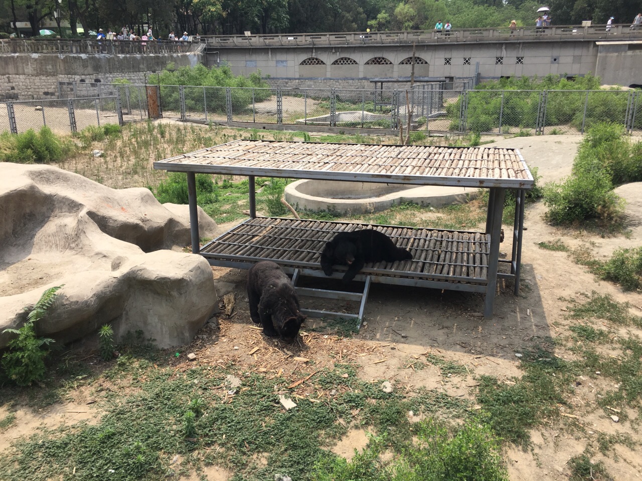 2019濟南動物園_旅遊攻略_門票_地址_遊記點評,濟南旅遊景點推薦 - 去