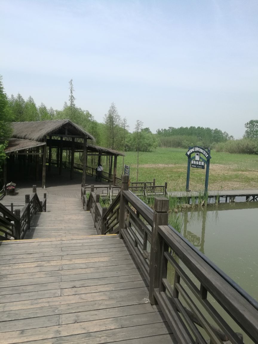 溱湖國家溼地公園旅遊景點攻略圖