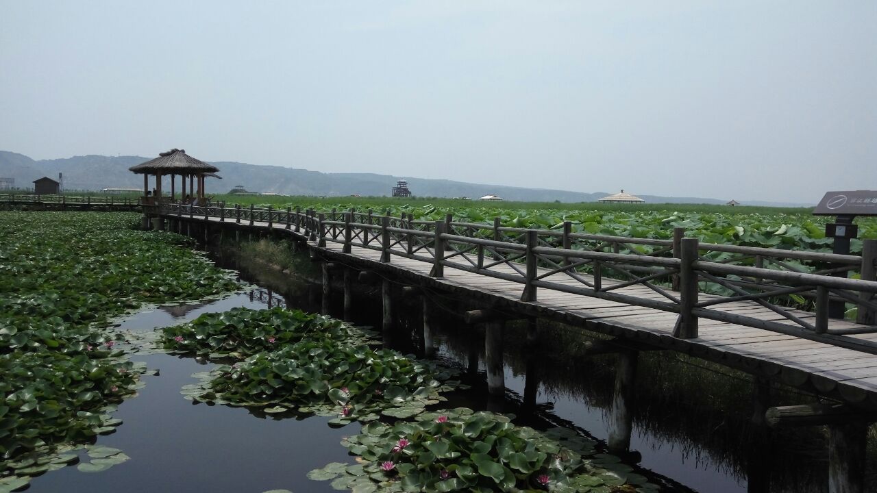 处女泉风景区地处陕西省渭南市合阳县洽川镇属于黄河滩涂湿地是全国最