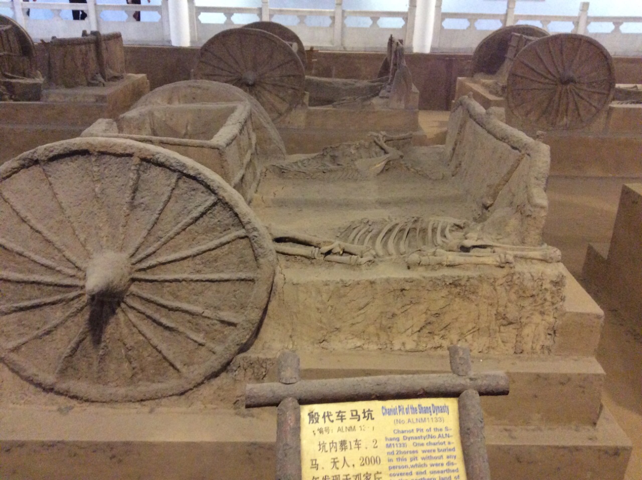 殷墟车马坑