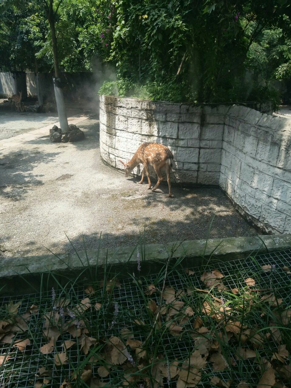 成都動物園