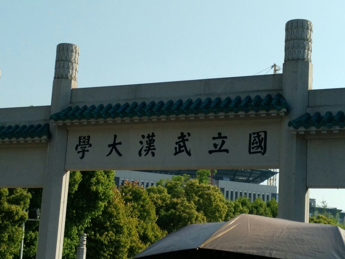 武汉大学