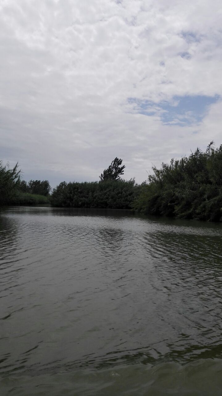 2019泗洪洪澤湖溼地_旅遊攻略_門票_地址_遊記點評,泗洪縣旅遊景點