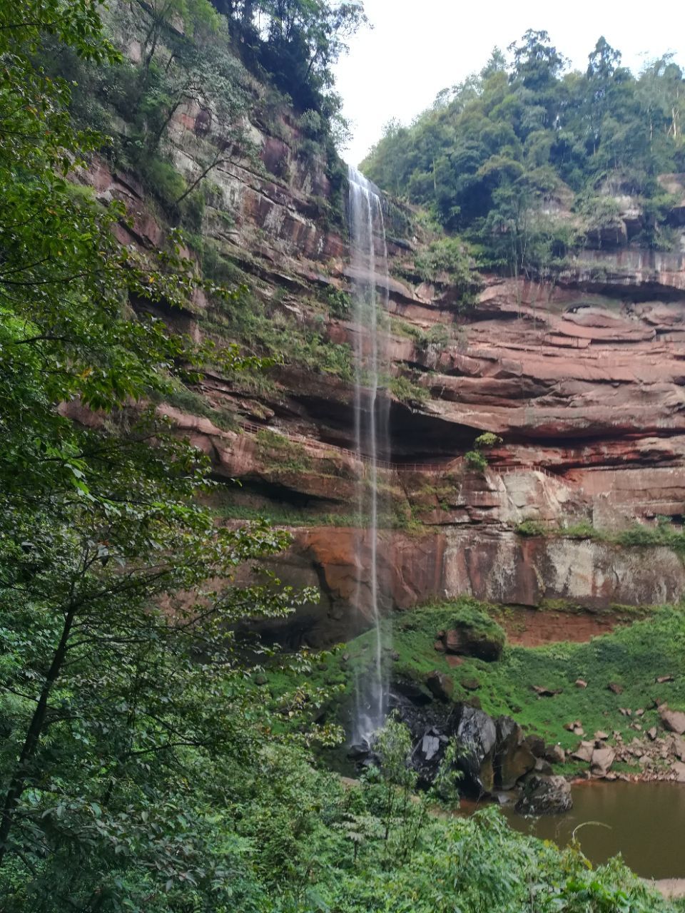 2019四面山_旅遊攻略_門票_地址_遊記點評,重慶旅遊景點推薦 - 去哪兒