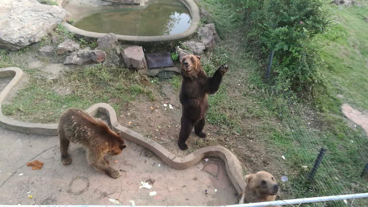 無錫動物園(太湖歡樂園)