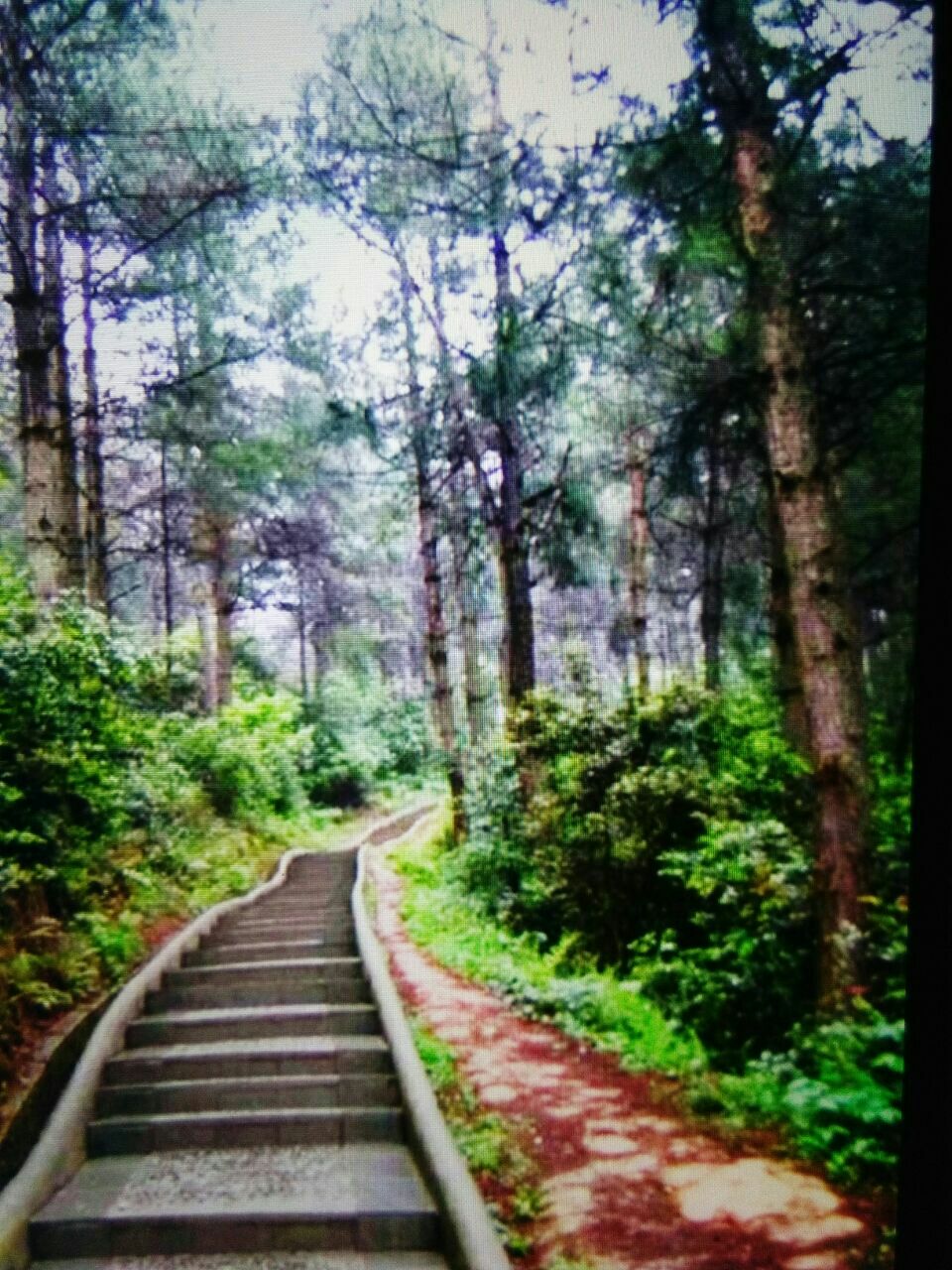 【携程攻略】凯里小高山景点《登小高山观景》高山